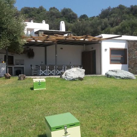 Skinammos Eco Villas Marmari  外观 照片