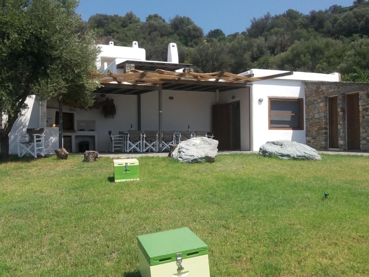 Skinammos Eco Villas Marmari  外观 照片